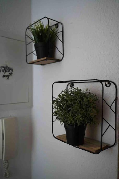 Luftiges Apartment Im Herzen Von Dresde Exterior foto